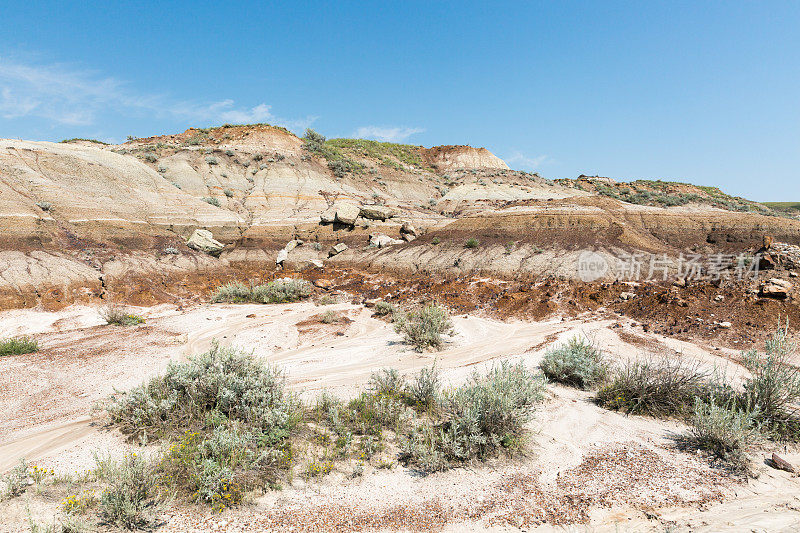 砂岩风景Badlands Drumheller加拿大